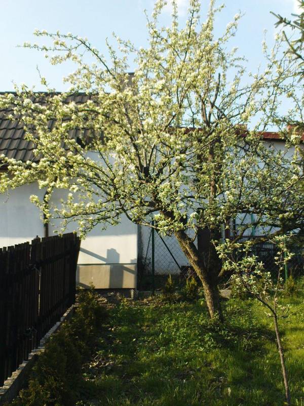 mojabudowa.pl - blog budowlany